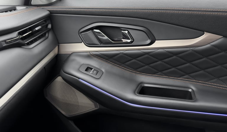 Interior Detail - Dashboard and leather cleaning